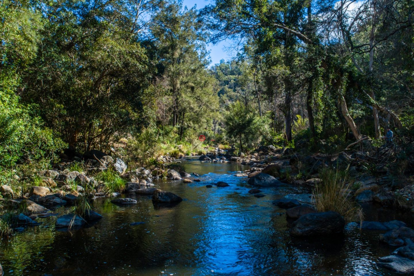 澳大利亚新南威尔士州Willsons Downfall的农场,224 Wallaroo Range Road,编号78492679