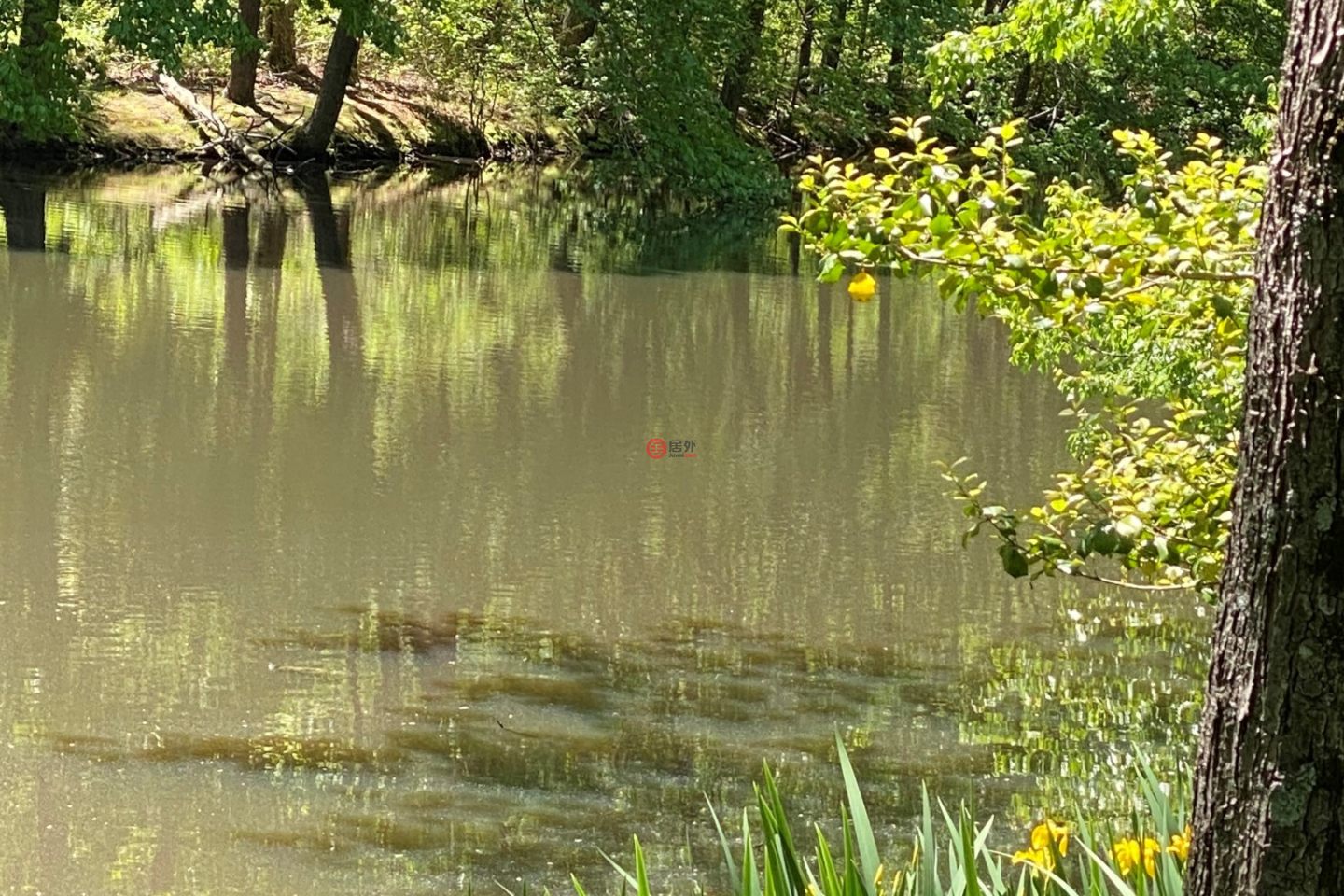 美国佛吉尼亚州费尔法克斯的独栋别墅，4512 Olley Lane，编号64816609