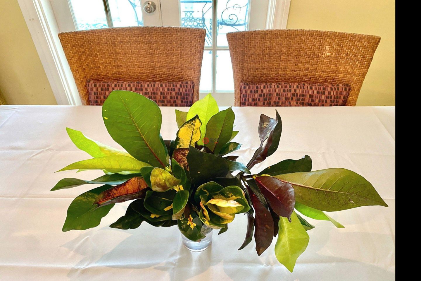 巴哈马Rock Sound的独栋别墅，Thatch Tree House Oleander Drive，编号78396361