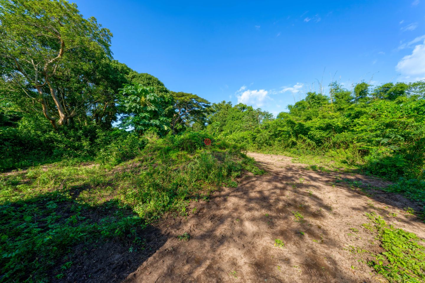 波多黎各Puerto RicoVieques的住宅用地，Lot 2 78 Puerto Ferro，编号76362887