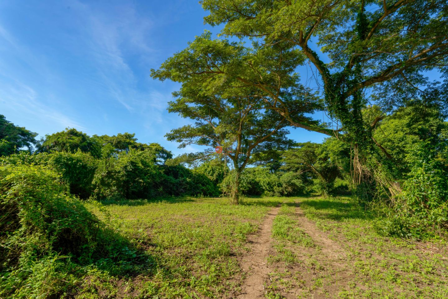 波多黎各Puerto RicoVieques的住宅用地，Lot 2 78 Puerto Ferro，编号76362887