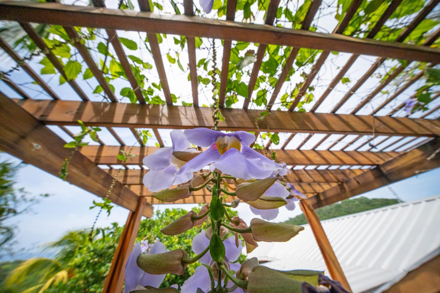 洪都拉斯海湾群岛Roatán的独栋别墅，Island-Style Hillside Haven with Panoramic North Shore Views，编号78473193