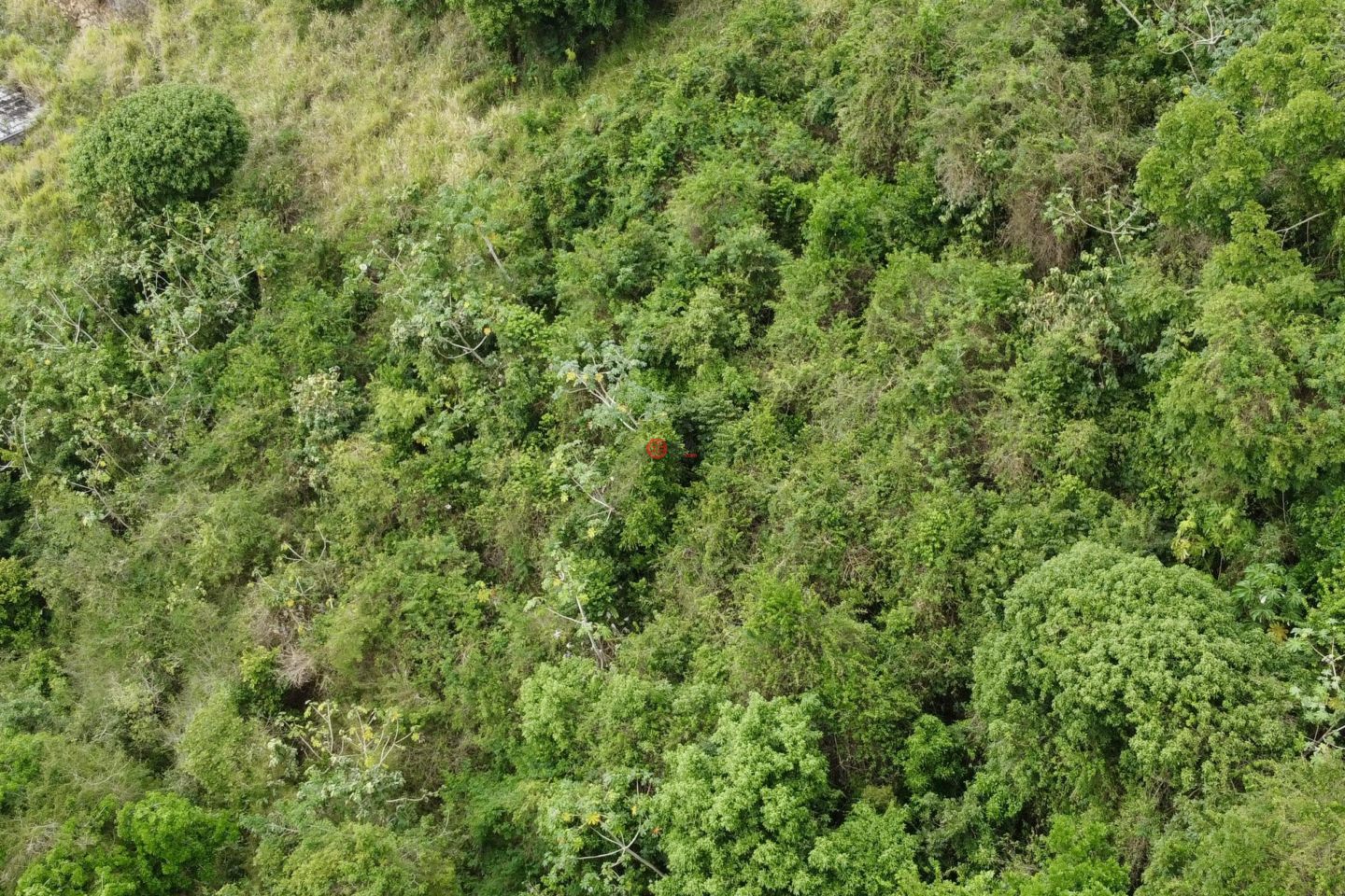 英属维尔京群岛的住宅用地，Cane Garden Mountain View，编号77642337
