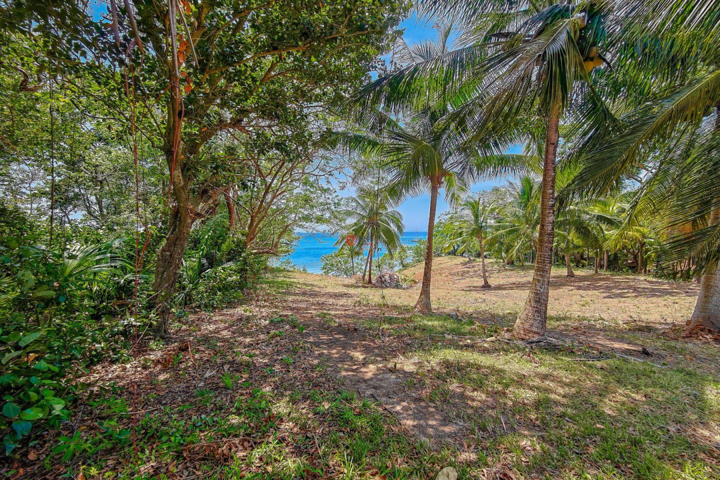 洪都拉斯海湾群岛Roatán的住宅用地，Beautiful Oceanfront Bluff Between West End & West Bay，编号78338279