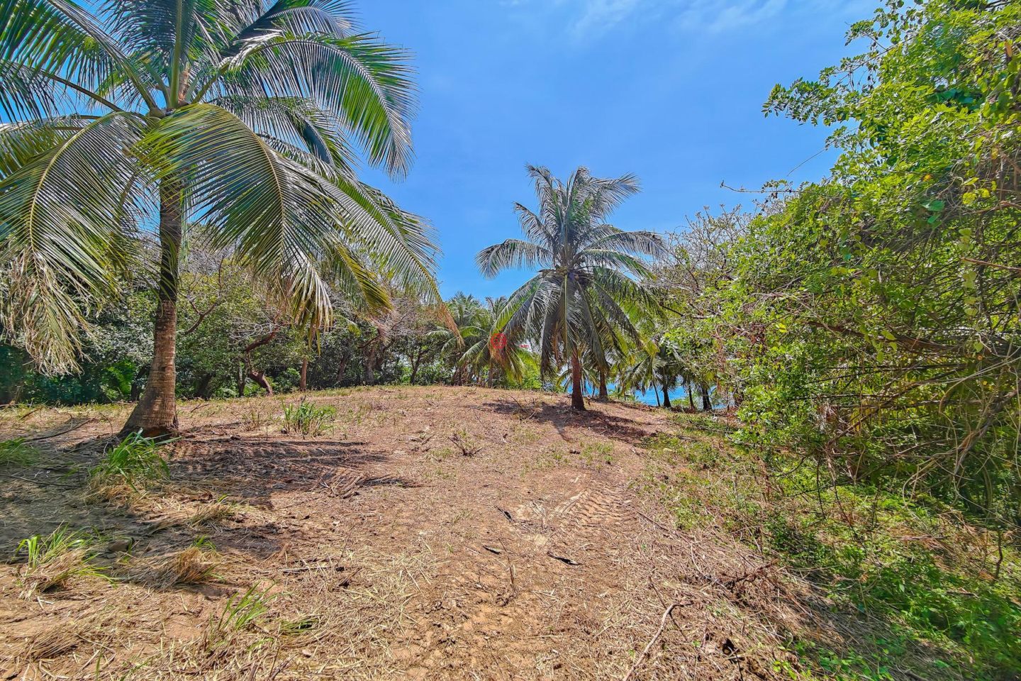 洪都拉斯海湾群岛Roatán的住宅用地，Beautiful Oceanfront Bluff Between West End & West Bay，编号78338279