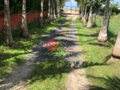 巴拿马科克莱El Chirú的商业用地，PANAMERICANA，编号71252964