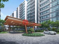 新加坡SingaporeSingapore的公寓，Tampines street 11，编号53170137