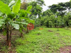 尼加拉瓜Masaya DepartmentMasaya的住宅用地，Finca Los Monos，编号71148962