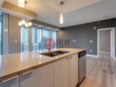 加拿大阿尔伯塔埃德蒙顿的公寓，10180 103 ST NW，编号71359223