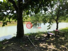 巴拿马科克莱El Chirú的商业用地，PANAMERICANA，编号71252964