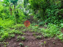 尼加拉瓜Masaya DepartmentMasaya的住宅用地，Finca Los Monos，编号71148962