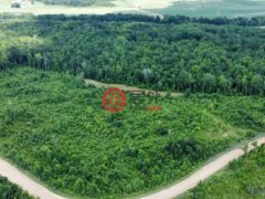 美国密西西比州West的住宅用地，None 00 Old Wheeling Road，编号78342877