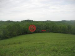 美国肯塔基州Olive Hill的农业用地，None 003 Buckler Lane，编号77889432