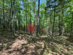 美国威斯康星州Minocqua的住宅用地，None Lot 127 WOODHILL CT，编号78136220