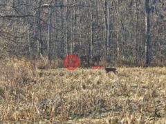 美国印地安那州Batesville的住宅用地，None E County Road 1575 N，编号77677777