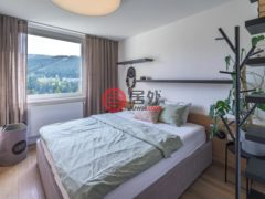 捷克Špindlerův Mlýn的公寓，Bedrichov 101，编号78162258