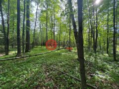 美国威斯康星州克兰登的住宅用地，None On ALLEN RD，编号77893990