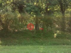 美国马里兰州Chestertown的农业用地，Cloquet Road，编号77173987