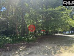 美国南卡罗来纳州哥伦比亚的农业用地，172 Harborside Circle，编号77840237