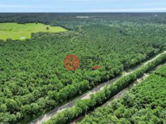 美国德克萨斯州拉夫金的住宅用地，5700 FM 2497，编号78442902