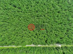 美国德克萨斯州拉夫金的住宅用地，5700 FM 2497，编号78442902