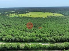美国德克萨斯州拉夫金的住宅用地，5700 FM 2497，编号78442902