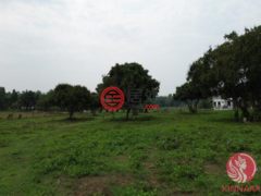 泰国清迈府玛尔瑞姆的住宅用地，编号77708101