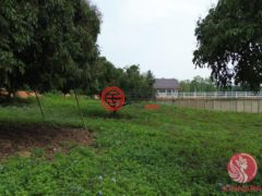 泰国清迈府玛尔瑞姆的住宅用地，编号77708101