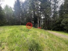 美国俄勒冈州North Bend的住宅用地，None 94253 MISTY RIDGE LN，编号78361531