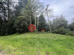 美国俄勒冈州North Bend的住宅用地，None 94253 MISTY RIDGE LN，编号78361531