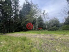 美国俄勒冈州North Bend的住宅用地，None 94253 MISTY RIDGE LN，编号78361531