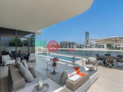 阿联酋迪拜迪拜的独栋别墅，Dubai - Palm Jumeirah - Garden Homes - Garden Homes Frond N Palm Jumeirah，编号78050298
