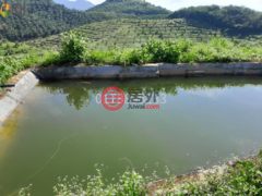 马来西亚森美兰瑞姆巴的农业用地，Negeri Sembilan，编号76629110