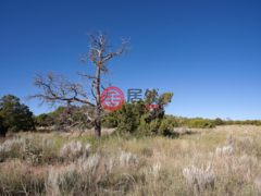 美国新墨西哥州Rowe的农业用地，Mile Marker 13 Nm Hwy 34，编号76986136