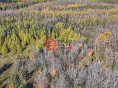 美国威斯康星州菲尔普斯的住宅用地，None Off HAWK SOUP LN，编号77773574