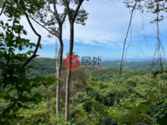 居外网在售哥斯达黎加SámaraSámara的住宅用地