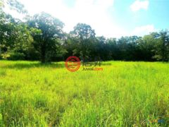 美国德克萨斯州Waelder的住宅用地，None 1825 Armstrong-Derry Road，编号77387883