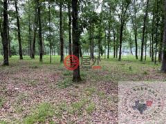 美国阿肯色州Bradley的住宅用地，None 000 S Eagle's Way South，编号69434683