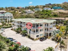 圣克里斯托弗和尼维斯岛Saint KittsFrigate Bay的公寓，St. Kitts Castle Unit 306，编号75474952