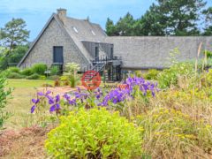 法国BrittanyGuidel的多单元，编号71328183