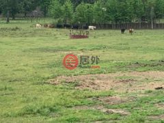 美国阿肯色州Doddridge的独栋别墅，None 228 PR 1070，编号77488215