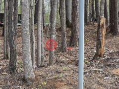美国佐治亚州斯巴达的住宅用地，None L 263 Orchid，编号77606912