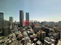 日本TokyoMinato的公寓，编号77810418