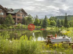 美国纽约州普莱西德湖的公寓，7 Whiteface Inn Lane，编号77803886