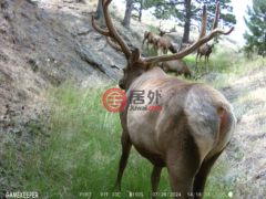 美国怀俄明州卡斯珀尔的住宅用地，None 00 Olde English，编号77886548