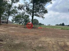 美国德克萨斯州Troup的农业用地，3.35 ACRES tbd County Road 2169，编号76835736