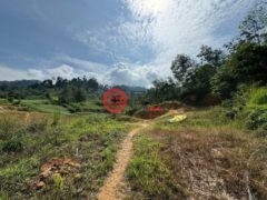 马来西亚彭亨Bentong的农业用地，4.6 Acres of Land in Janda Baik Bentong Pahang，编号78044451