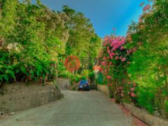 洪都拉斯海湾群岛Roatán的住宅用地，Beautiful West Bay Lot of 0.45 Acres with Ocean Views，编号77263658
