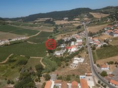 葡萄牙Sobral de Monte Agraço的独栋别墅，编号78412052