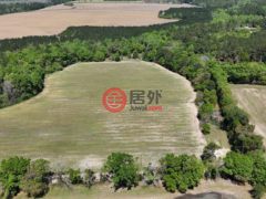 美国佐治亚州奥茨罗克尼的住宅用地，None 1975 Rook Rd，编号77696575
